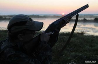 Челябинская область коронавирус COVID заражения умерли 10 августа