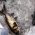 В Тюменской области река наполнилась мертвой рыбой. ФОТО