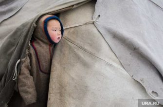 Учебный год для детей аборигенов ЯНАО