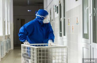 Челябинская область коронавирус COVID заражения умерли 18 августа