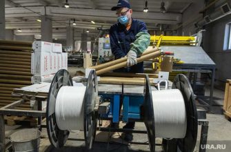 стрим эфир производительность труда