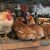 В Тюменской области из-за птичьего гриппа закрывают села