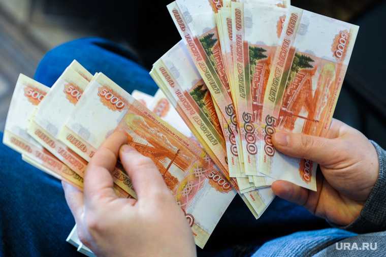 Части россиян предложили раздать почти по 500 тысяч