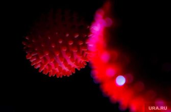 заболеваемость коронавирусом