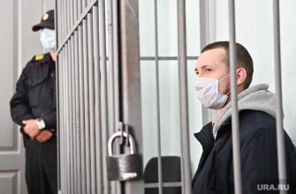 сын полковника росгвардии васильев попросил прощения погибшие