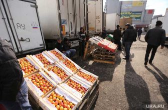 Овощебаза Екатеринбург Высокинский жилье
