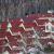 Россиян предложили расселять из аварийного жилья в коттеджи