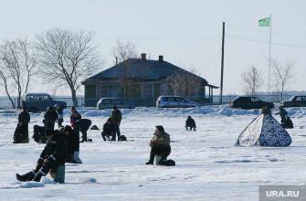 Челябинская область Общественная палата Акатьев видео Путину