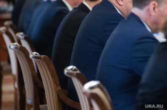 новые политологи после конкурса