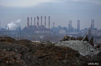 Правительство РФ поручило регионам выявить ядовитые территории