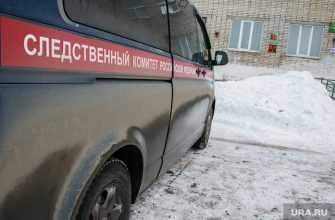 курганский следователь