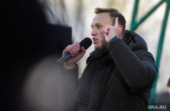 Навальный прилетел в Россию