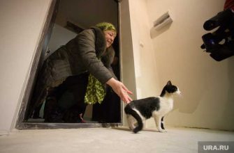 жилье феделаотный бюджет единый реестр Минстрой РФ