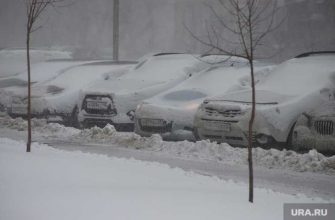 снегом занесло