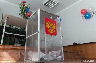 выборы судимость