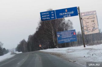 анна царькова
