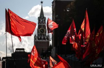 удальцов жена госдума выборы кпрф