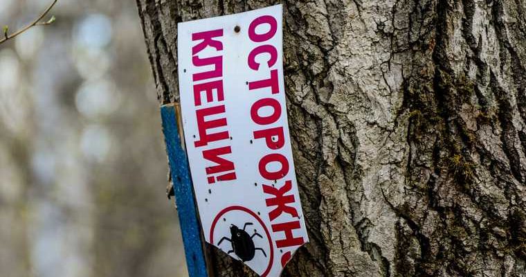 Прививка от клеща тюмень