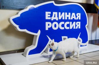 Форсюк Ирина праймериз