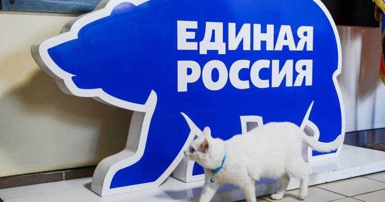 Форсюк Ирина праймериз
