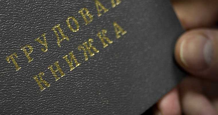 Госдума поправки закон занятость