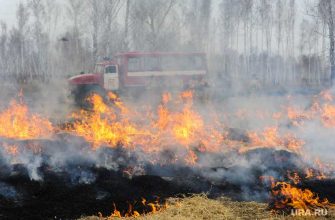 Челябинская область Пластовский район лесничество пожар лес огонь автомобиль ГУ лесами