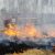 Из-за застрявшей машины в Челябинской области сгорели 2 га леса