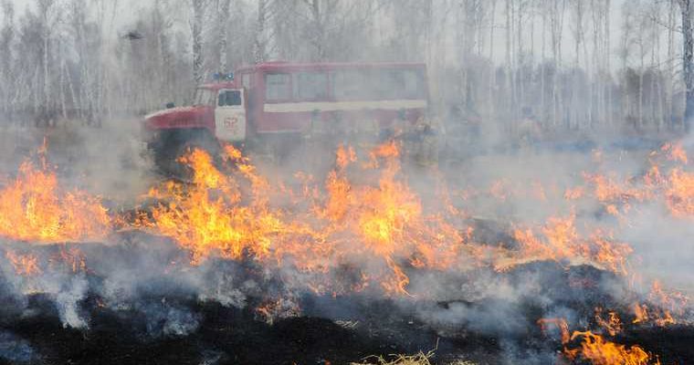Челябинская область Пластовский район лесничество пожар лес огонь автомобиль ГУ лесами