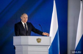 митинги навальный новости