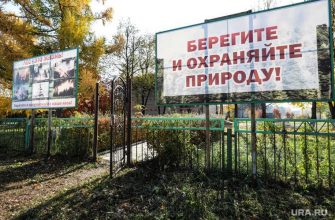 пожар лес режим Челябинская область штрафы