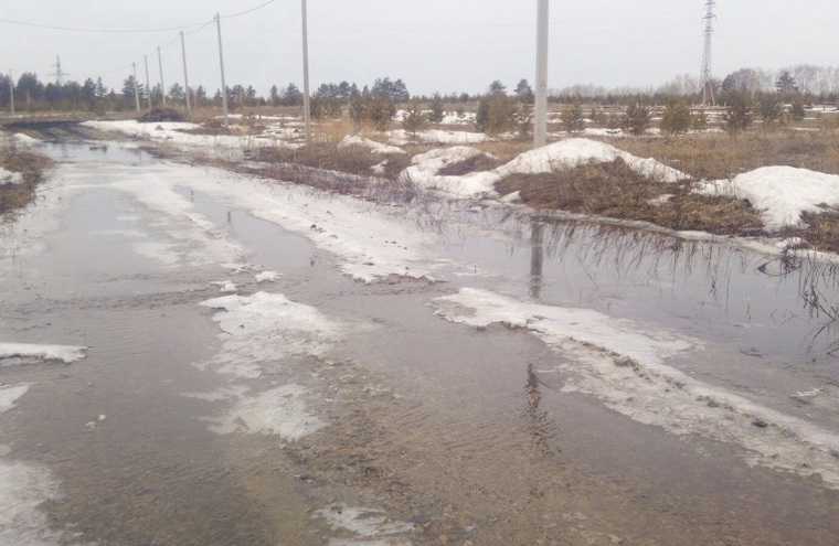 В Шадринске затопило микрорайон, куда зимой свозили снег. Фото
