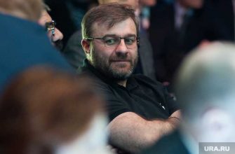 пореченков профессионализм национальная идея