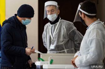 выборы в Госдуму удаленное голосование
