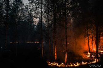Моор пожары ЧС