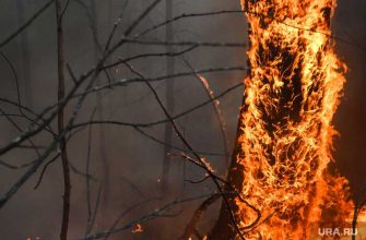 новости хмао пожар в югре хантах риск возникновения лесного пожара угроза ожидание синоптиков прогноз