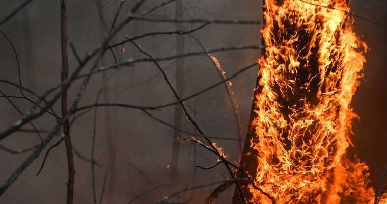 новости хмао пожар в югре хантах риск возникновения лесного пожара угроза ожидание синоптиков прогноз