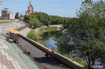 администрация Кургана