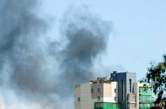 тополиный пух