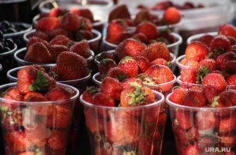 можно ли покупать ягоды из Киргизии