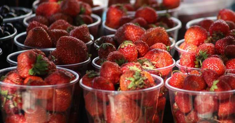 можно ли покупать ягоды из Киргизии