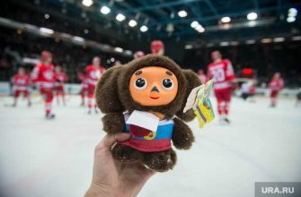 Игорь Ракша