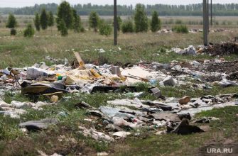 Свалка Курганская область