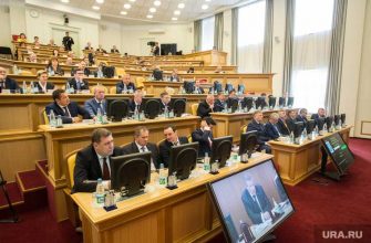Фракция ЛДПР схема выборов мэров законодательная инициатива
