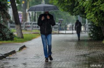 вильфанд гидрометцентр сайт погода неделя