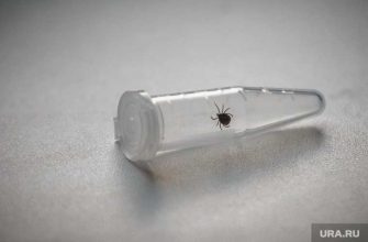 департамент здравоохранения