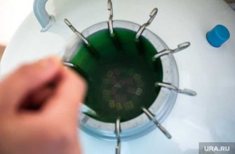 новорожденные