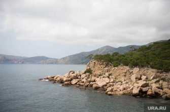 соцсети флот