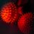 Биологи обнаружили новое средство для борьбы с коронавирусом