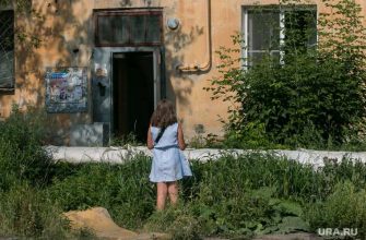 восьмилетняя девочка стала жертвой насильника